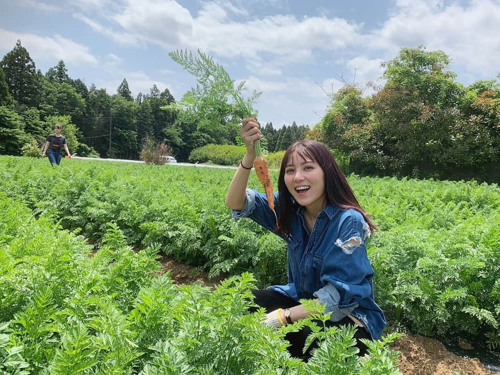 石川恋さんのインスタグラム写真 - (石川恋Instagram)「少し前から、オフの日を利用して 畑のお勉強やお手伝いをしたり、 無農薬の野菜を育てたりしています☺️🥬 with トラ @naomi_trauden_ 🐯 これは少し前だけどにんじんを間引きした時の写真🥕 そしてそのにんじんを使って 炊き込みご飯と肉じゃがを作りました！  農業のこと、知れば知るほど好きになるし 畑に行って太陽を浴びながら土をいじるのは本当に楽しい！ 収穫した採れたての野菜を持ち帰って 自分で調理して食べるのも至福のひとときです💜 料理のレパートリーも増えた〜〜！  これから畑についてや収穫した野菜で作った料理なども 少しずつUPしていけたらと思います🌈 #恋とトラと野菜 #恋と野菜 #ベジ活 #農業 #畑 #トラウデン直美 さん」5月23日 18時27分 - ren_ishikawa