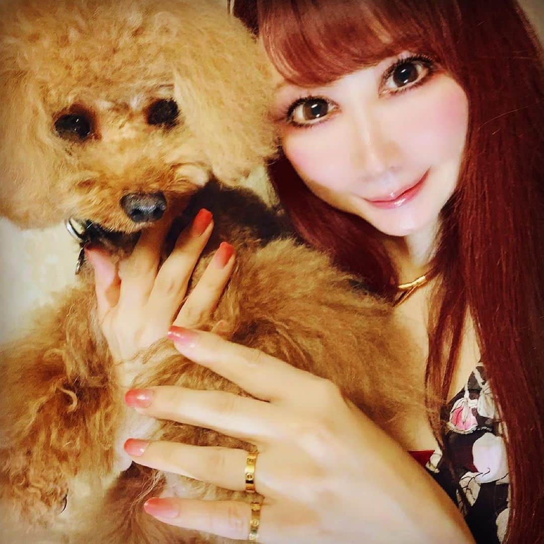 椿京子さんのインスタグラム写真 - (椿京子Instagram)「Hello. How's everything?  I was shooting with my pets 🐶 He is so adorable♥️ 🌟 こんばんは〜(^_−)−☆💕 こちらはね〜、 お日さま☀️いっぱいの日曜日だったの〜😉💕 🌟 レン🐶との撮影📸はね〜 ピンク色の爪のネイルシールがね〜 @blingccato_jp  ブリンカートのネイルシールでね〜^_−☆💕 日光や蛍光灯で簡単に固まって、５日目の今日も綺麗で全く取れないの〜😍 🌟 ブリンカートは種類が沢山あるからチェックしてみてね〜 Qoo10で購入できるよ〜😉💕 🌟 今日も見てくれてありがとうね〜🥰 どうかリフレッシュできる１日🌻になりますように😘 🌟 #blingccato　#ブリンカート #セルフネイル　#ジェルネイル #トイプードル #撮影📸　#shooting 📸 #thankyoueveryone  #loveeveryone  #loveyou😘」5月23日 19時30分 - kyoko_tubaki