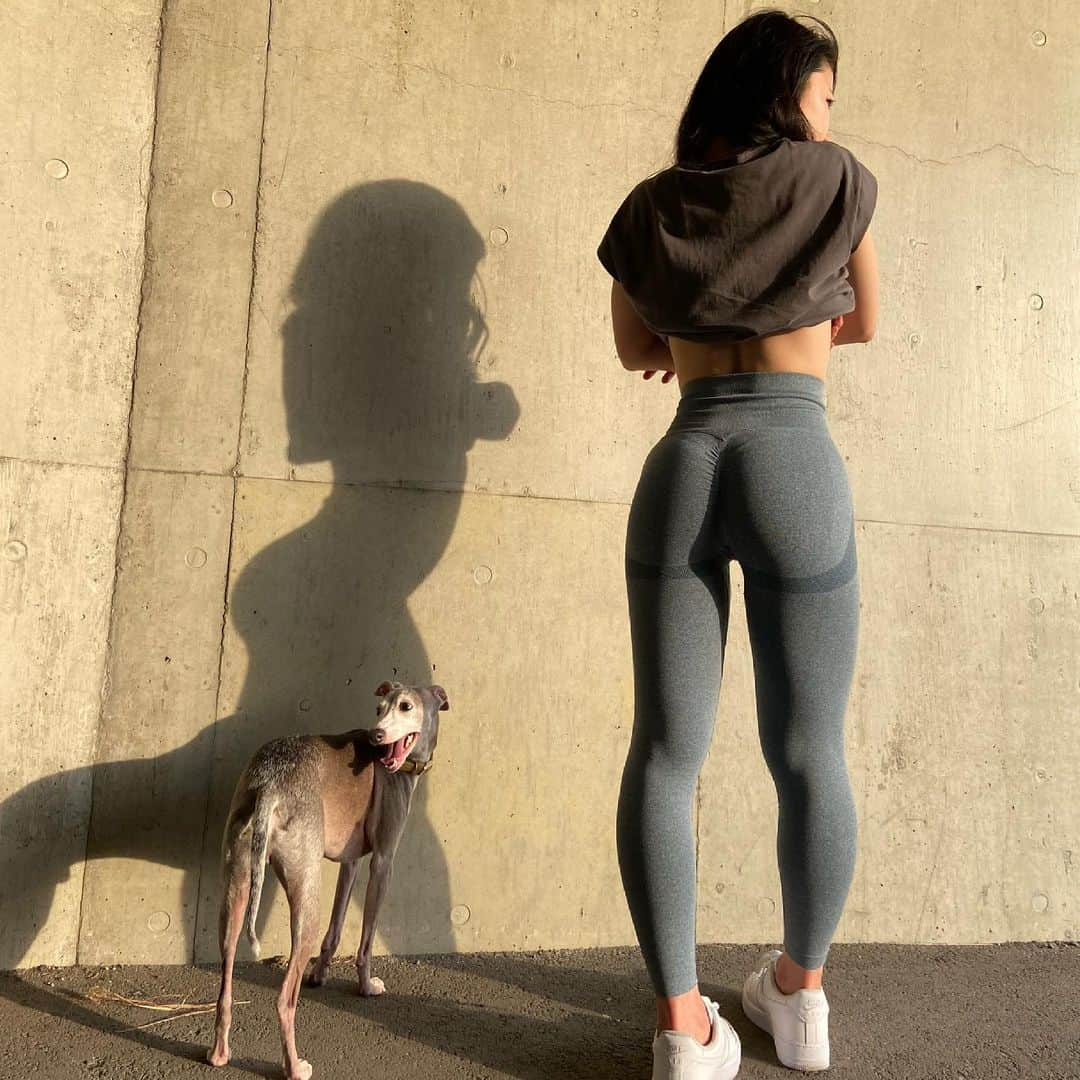 さくらさんのインスタグラム写真 - (さくらInstagram)「お尻とヨーダ🐶🍑﻿ 朝のウォーキングに一緒に連れて行くけど朝早すぎていつも眠そうな私のイッヌ😄﻿ ﻿ お尻がいい感じになってきたかな🤙﻿ ﻿ 来週も1週間また頑張りましょう🤛✨﻿ ﻿ ﻿ #薬学生#腹筋女子﻿ #筋トレ#筋トレ女子#腹筋#おしり#fitness#ダイエット　﻿ #bodymake#homeworkout#gym#booty﻿」5月23日 20時35分 - sakufitness