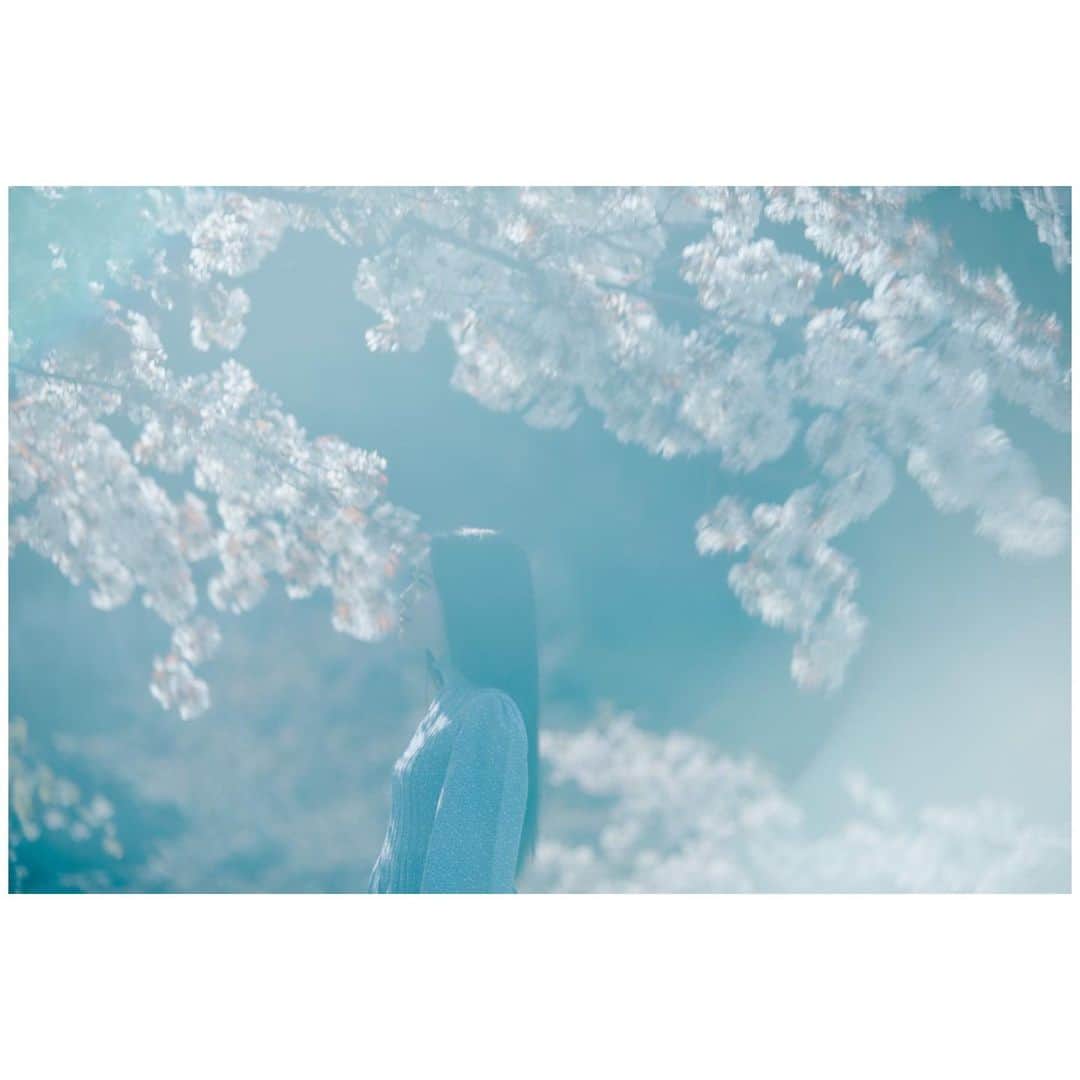 斉藤花耶さんのインスタグラム写真 - (斉藤花耶Instagram)5月23日 20時53分 - kaya__official_