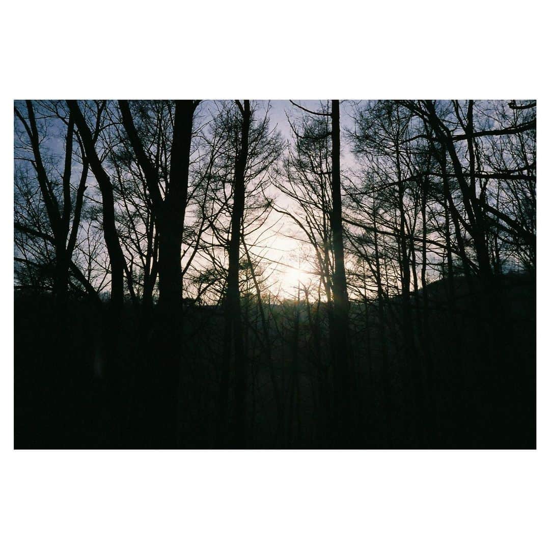 工藤大輝のインスタグラム：「現像したので📸 #minoltatc1 #filmcamera MINOLTA TC-1 / FUJIFILM PRO 400H」