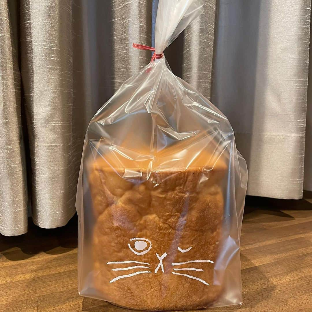 金子侑司さんのインスタグラム写真 - (金子侑司Instagram)「皆さんこんにちは🐱 コロナ禍が収まらず、 皆さんはどんなお家時間を 過ごしていますか？🤔  僕は、ねこねこ食パンと いうものに出会ったり、 知り合いの方から頂いた スキンケアを使ってみたり しながら時間を過ごしてます🌿  まだまだ大変な世の中ですが、 一緒に頑張りましょう！！  #金子侑司 #西武ライオンズ #ねこねこ食パン #おうちじかんを楽しもう」5月24日 16時48分 - kaneko_yuji_7