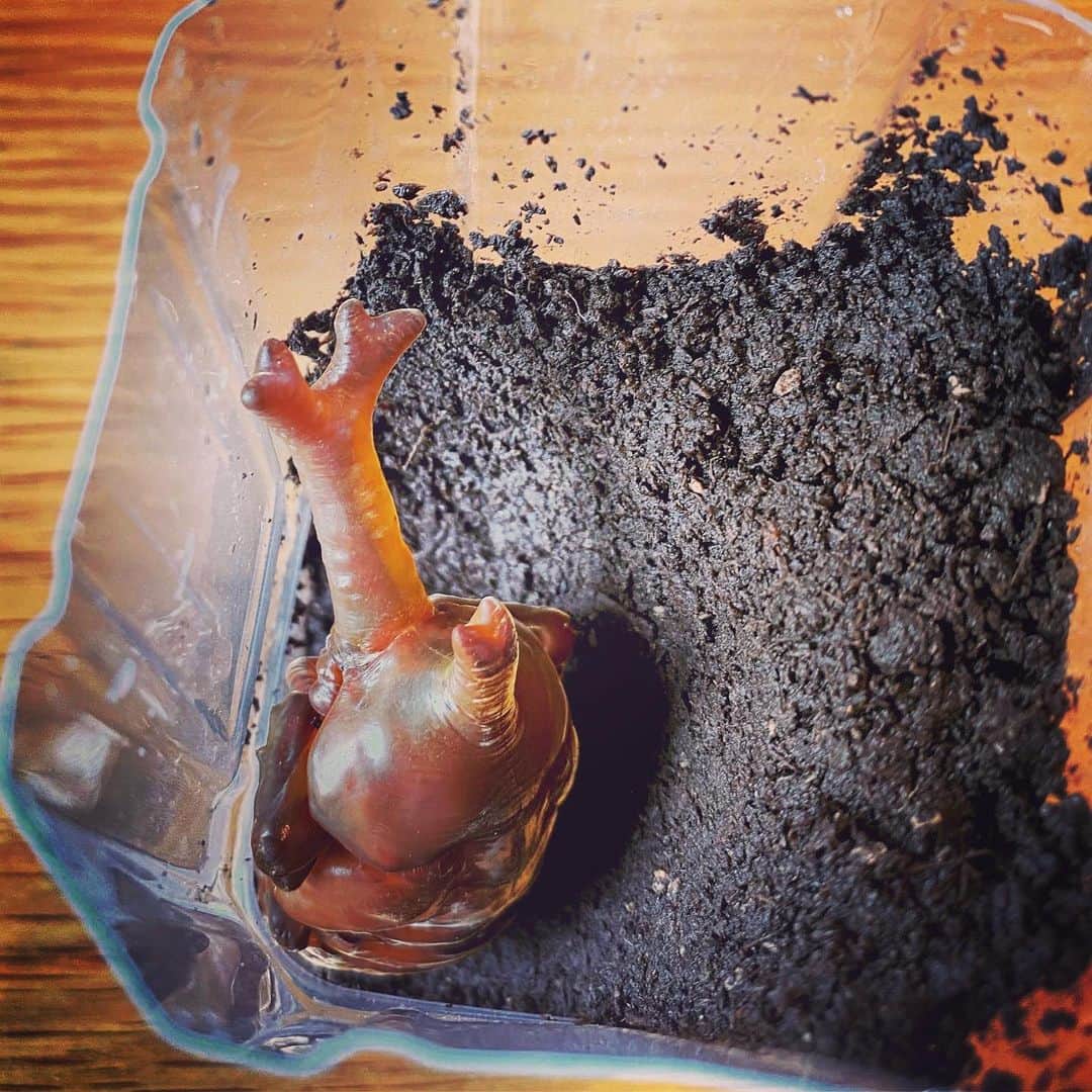 高島彩さんのインスタグラム写真 - (高島彩Instagram)「#カブトムシ  卵を産み  幼虫になり  蛹になりました  羽化の様子を観察したくて人工蛹室へ移動  おてんば次女さん、毎日ドキドキ  私は違う意味でドキドキ  ※２枚目は去年の様子  #カブトムシのさなぎ」5月24日 18時04分 - aya.takashima_official_2021