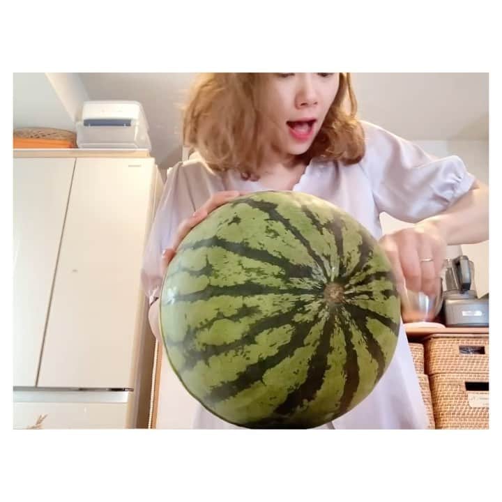 ソニンのインスタグラム：「. 今年初入刀。 今年初スイカひと玉。  #毎年恒例 #ソニンがただスイカを食べるだけの動画　#ソニンすいか #去年のはYoutube見てね　(🔗ストーリーに載せておきます) #中途半端に2本出してるよ #熊本すいか  #Youtube更新止まっててごめんなさい #今色々調整中もう少し待ってね」