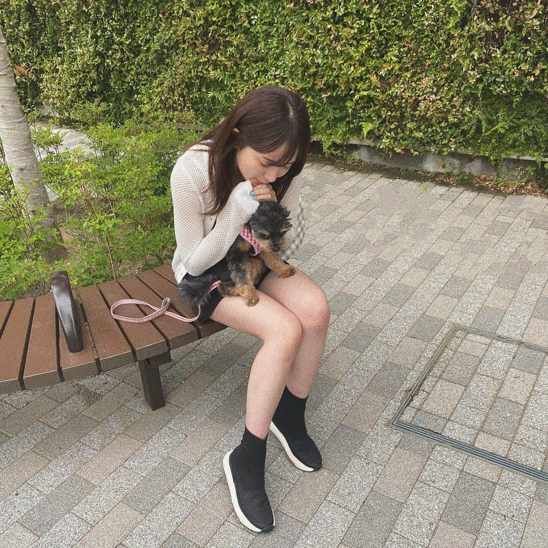 森戸知沙希さんのインスタグラム写真 - (森戸知沙希Instagram)「🐶💗 　　　 　　　 #morningmusume21  #helloproject  #モーニング娘21  #森戸知沙希  #愛犬  #ぽんず  #ぽんちゃん  #ぽんすタグラム🐶  #いぬすたぐらむ （写真撮る時だけマスク外してます）」5月25日 0時00分 - chisaki__morito.official