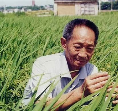 レイ のインスタグラム：「In the future we will eat well every day.  Respected Mr. Yuan Longping, goodbye.  Beloved Grandpa Yuan Longping, thank you.」