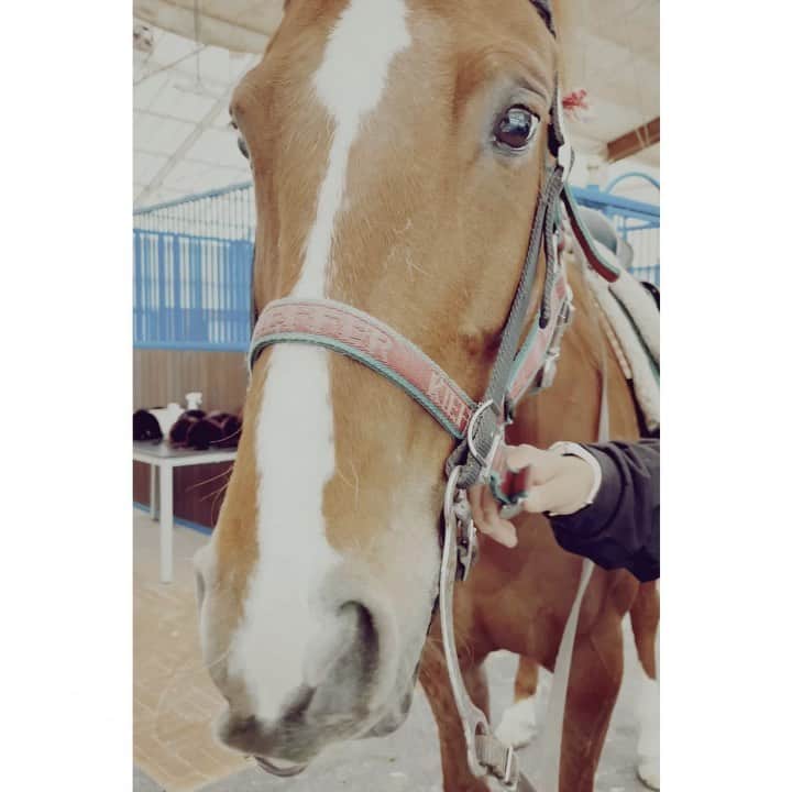 紗栄子のグルメインスタ