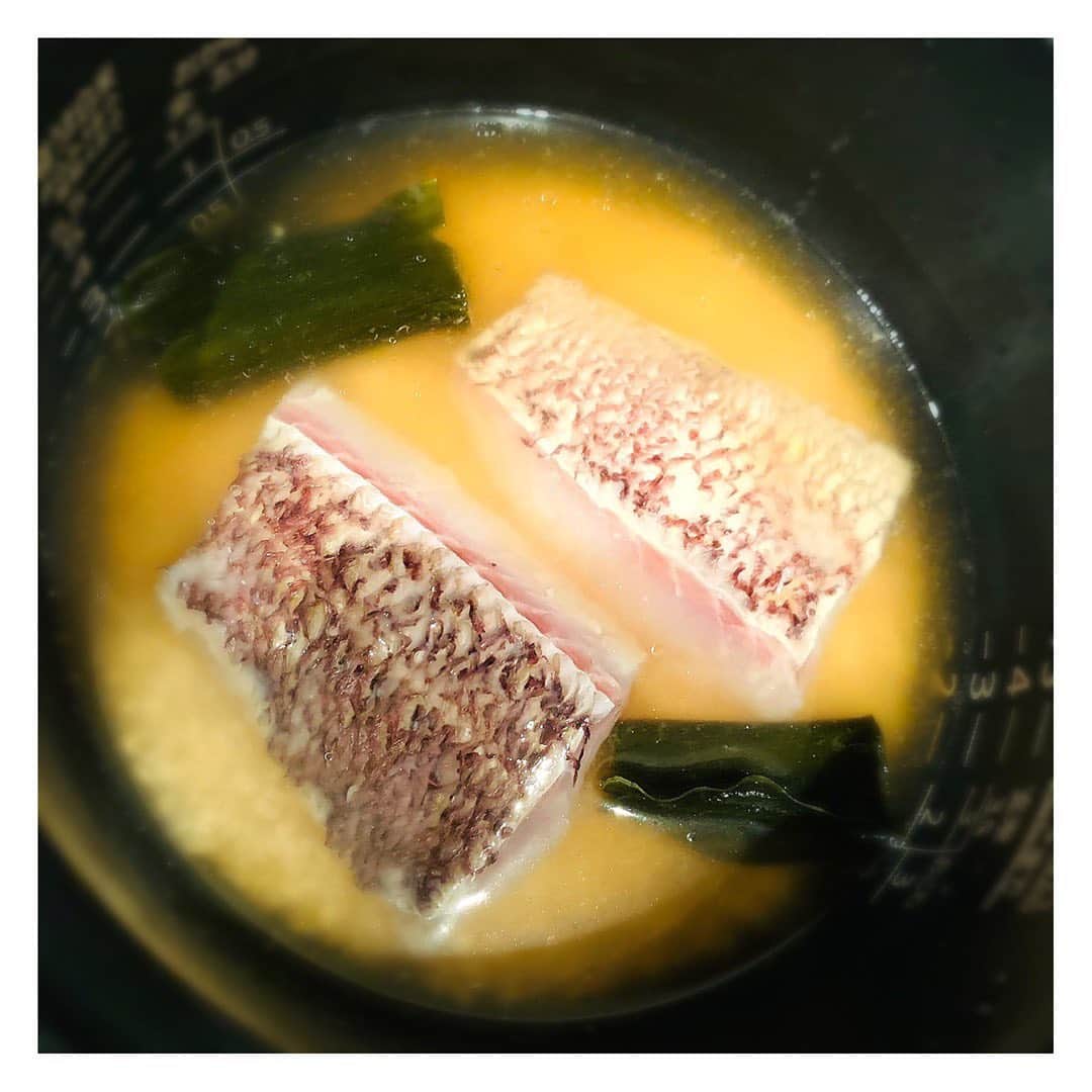 長野美郷さんのインスタグラム写真 - (長野美郷Instagram)「鯛の塩麹漬けの 炊き込みご飯😊  炊く前、なんとなくラーメンぽくなりましたが😂🍜  無事炊き上がりましたよ！  ネギをまぶして出来上がりです。  #炊き込みご飯 #鯛めし #鯛の塩麹漬け #和食レシピ #最後の出来上がりを撮り忘れました😅」5月25日 20時40分 - misato_nagano_1127