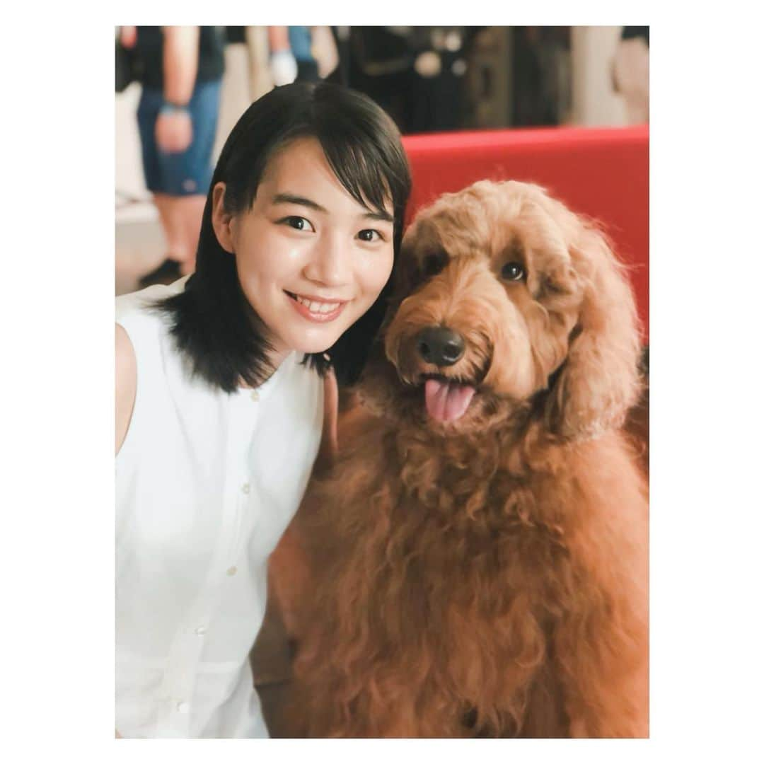 のん（能年玲奈）さんのインスタグラム写真 - (のん（能年玲奈）Instagram)「以前、肌ラボの撮影にてご一緒したわんちゃんと。 ぬいぐるみじゃないです！🧸 本物！ほわほわで可愛かった。」5月25日 21時33分 - non_kamo_ne