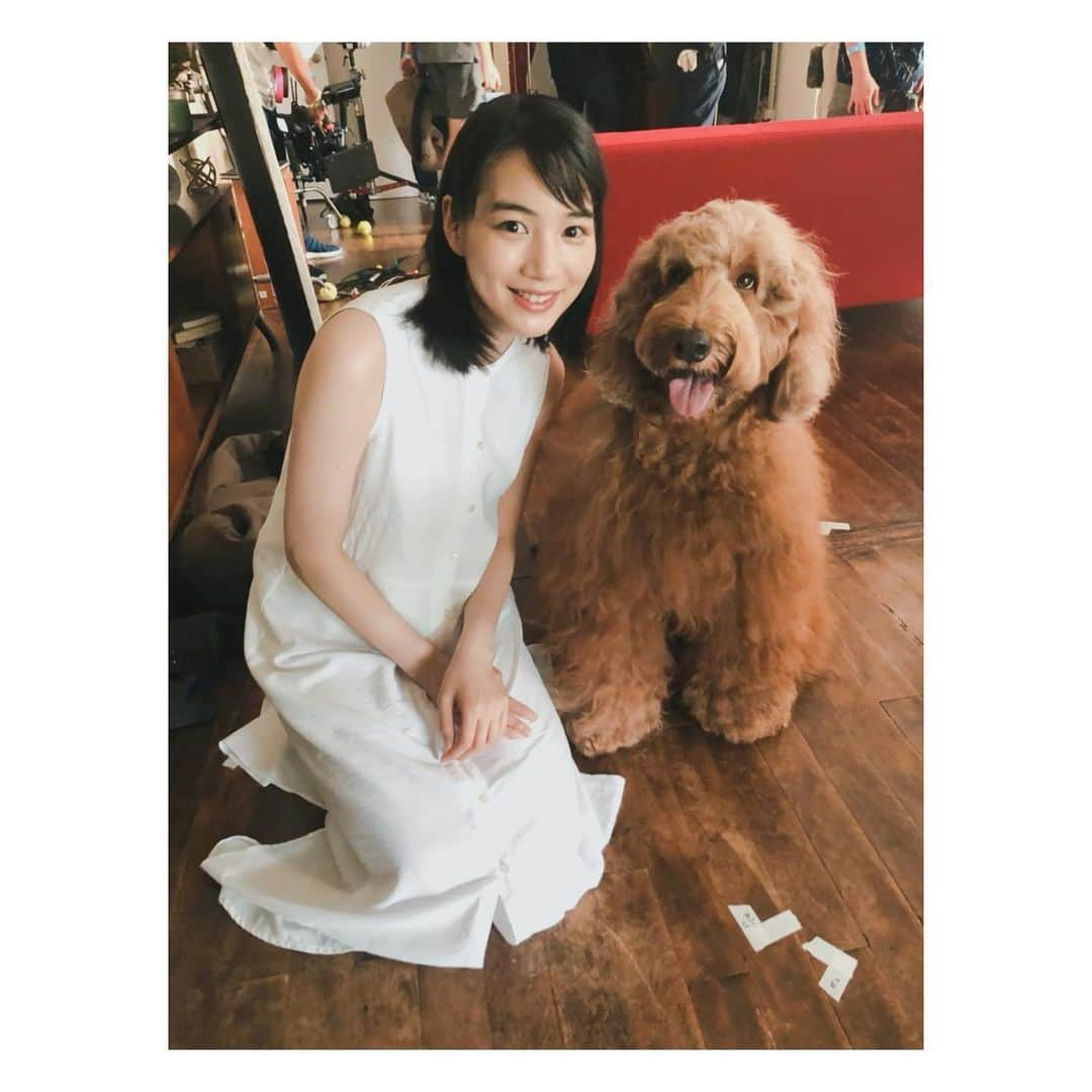 のん（能年玲奈）さんのインスタグラム写真 - (のん（能年玲奈）Instagram)「以前、肌ラボの撮影にてご一緒したわんちゃんと。 ぬいぐるみじゃないです！🧸 本物！ほわほわで可愛かった。」5月25日 21時33分 - non_kamo_ne