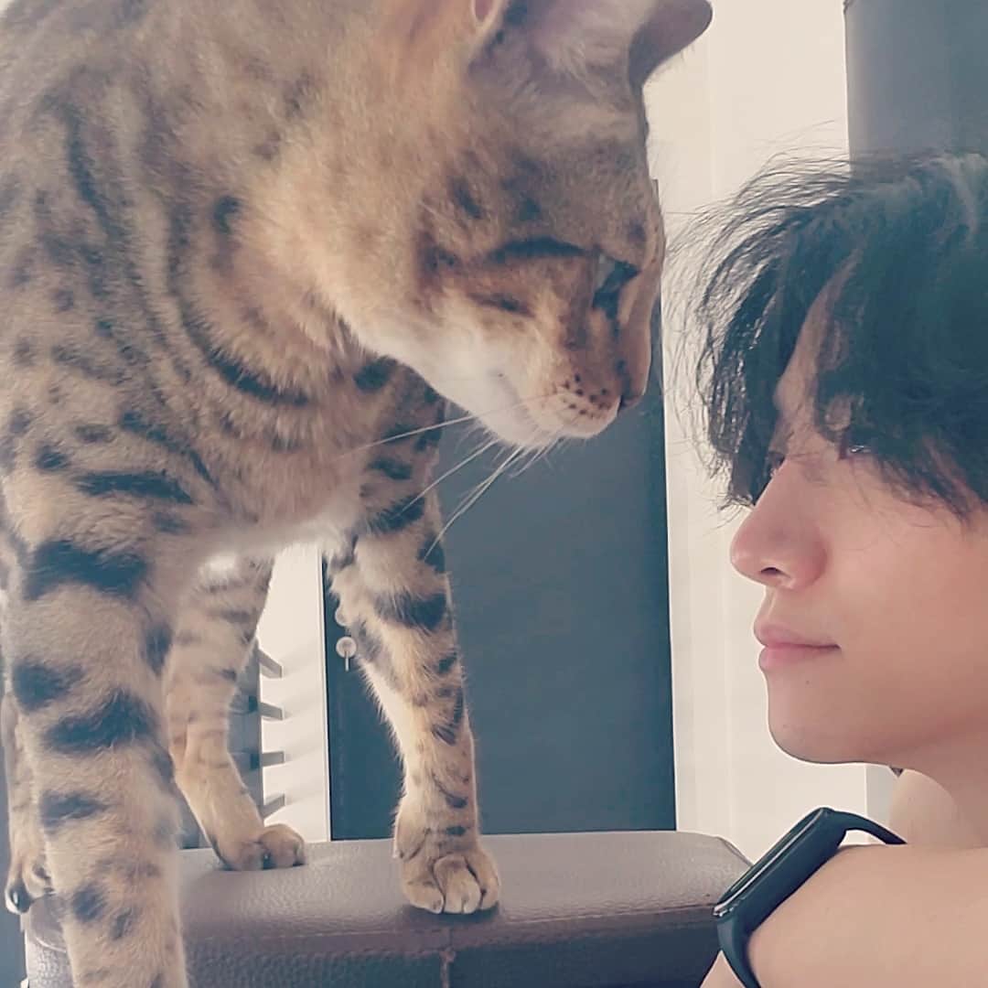 ジュノ のインスタグラム