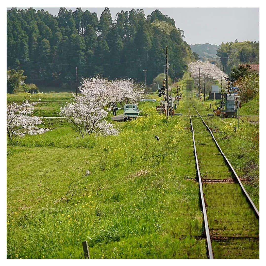 さだまさしさんのインスタグラム写真 - (さだまさしInstagram)「いすみ鉄道の春🌸 車窓からはＭass@Ｍaniaのミタが、、、👀 . #鶴瓶の家族に乾杯  #さだまさし #sadamasashi #いすみ鉄道 #いすみ市」5月25日 16時14分 - sada_masashi