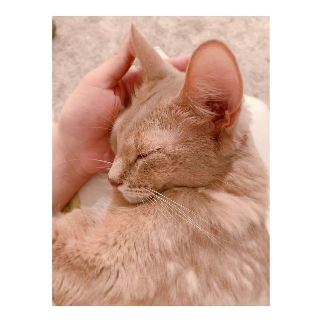宇月颯のインスタグラム