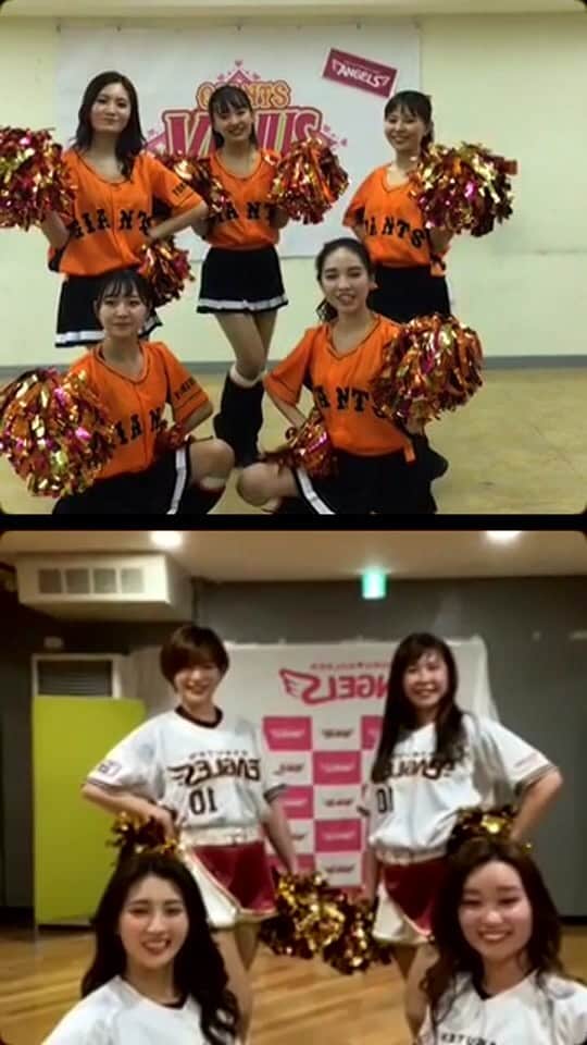 のインスタグラム：「交流戦コラボスペシャル‼︎ 東北ゴールデンエンジェルスと配信🧡  #ジャイアンツ #giants #東京ドーム﻿ #野球 #baseball #東京 #tokyo  #cheer #ヴィーナス ﻿ #巨人 #venus #2021venus #チア #ダンス #ともに強く」