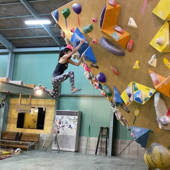 大田理裟のインスタグラム：「久しぶりに飛んだ🕊🕊🕊❤️‍🔥﻿ ﻿ #クライミング #ボルダリング #climbing #bouldering #sportclimbing #スポーツクライミング #sports #climbinglife #training #トレーニング #champion #BeYourOwnChampion #championjp」