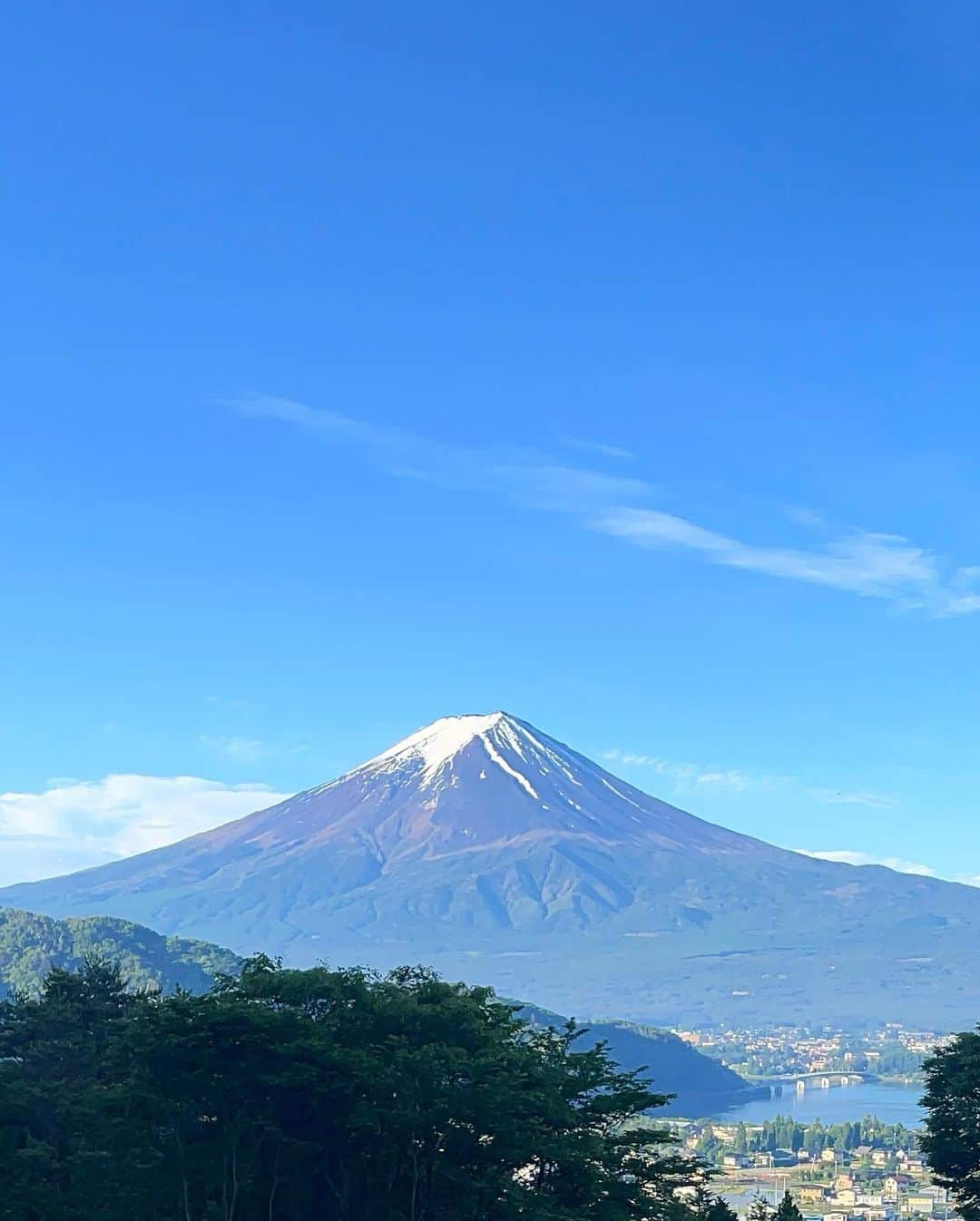 サイヤマングレートさんのインスタグラム写真 - (サイヤマングレートInstagram)「富士山のような二頭が欲しい！！」5月25日 20時08分 - saiyaman_great