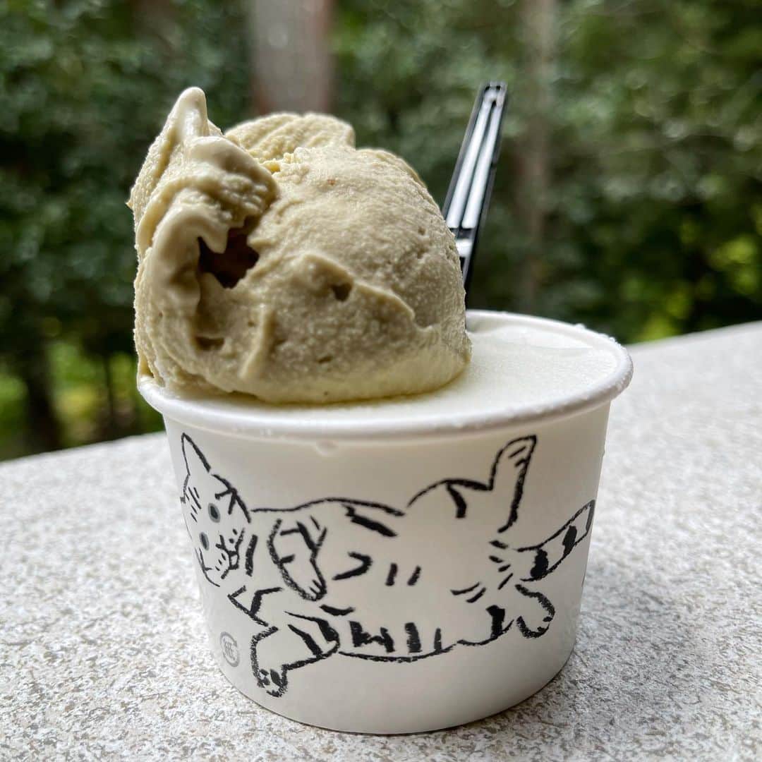前園真聖さんのインスタグラム写真 - (前園真聖Instagram)「里山にあるジェラート店。 自然の中で食べるジェラートは格別ですね👍」5月26日 10時04分 - maezono_masakiyo