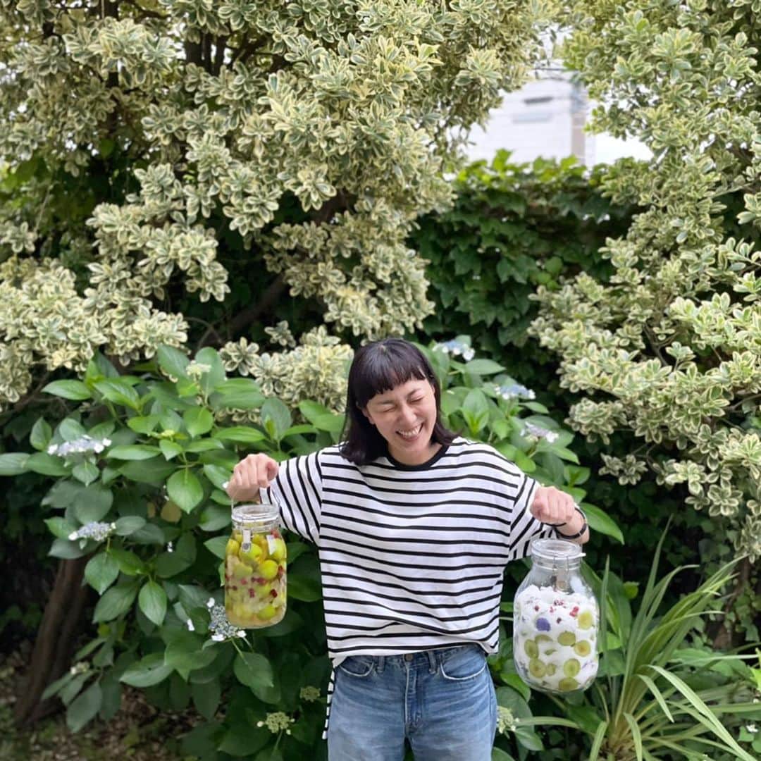 板谷由夏 さんのインスタグラム写真 - (板谷由夏 Instagram)「梅の季節ですね〜 たくさんの梅を上チビの同級生のお母さんに頂いたので 酵素ジュースと、梅酒を仕込みました。楽しみ楽しみ‼️ @masayo.sugimoto  サンキュー‼️」5月26日 10時12分 - yukaitaya