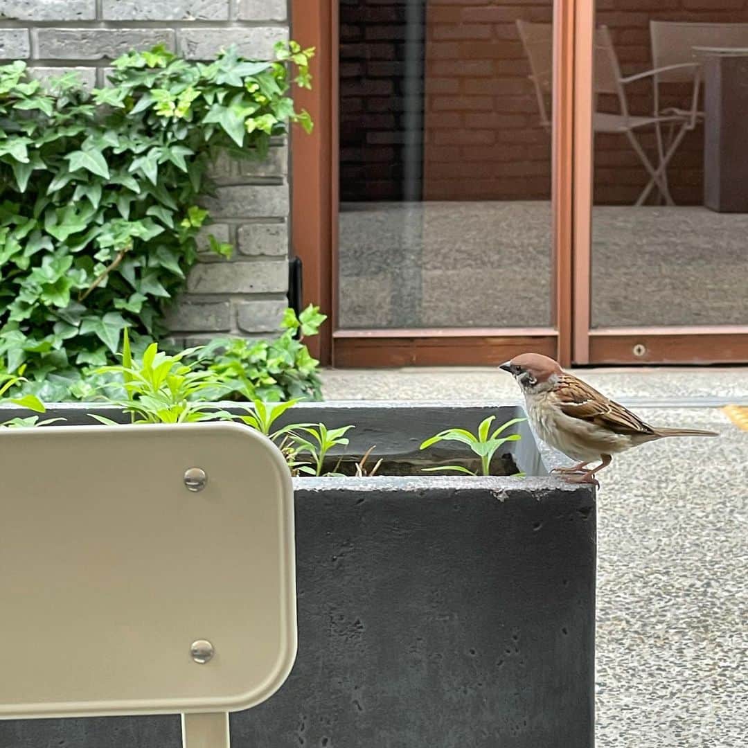 のインスタグラム：「💛🧡🤎」