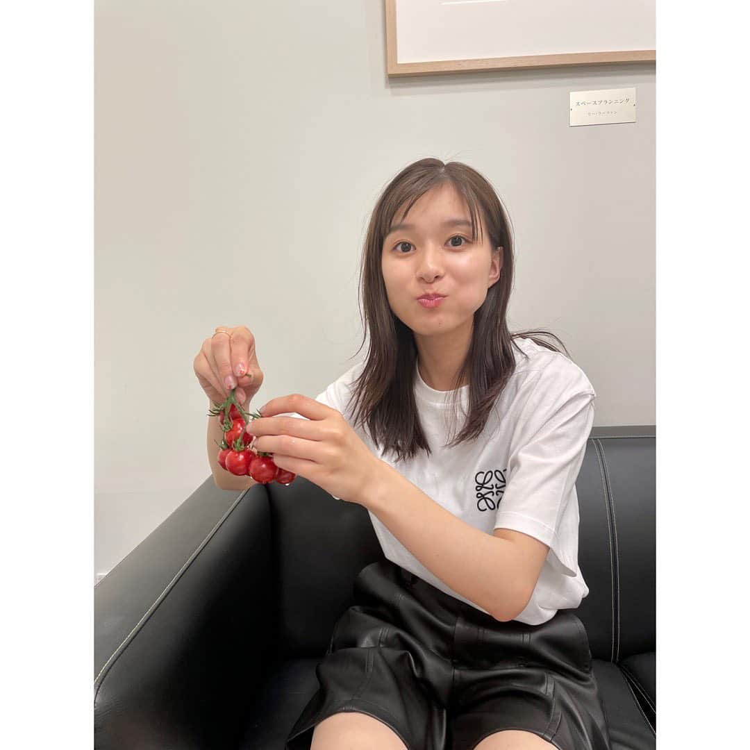 芳根京子さんのインスタグラム写真 - (芳根京子Instagram)「ただ、 トマトを食べている、 だけ、です🍅  #芳根京子を置いておきます #安定の強制終了 #トマトは食べ物 #🍅」5月26日 17時31分 - yoshinekyoko