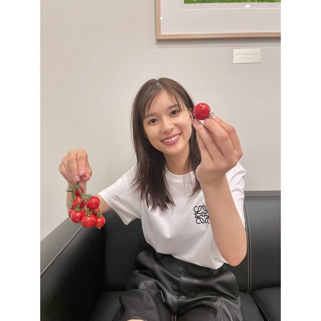 芳根京子さんのインスタグラム写真 - (芳根京子Instagram)「ただ、 トマトを食べている、 だけ、です🍅  #芳根京子を置いておきます #安定の強制終了 #トマトは食べ物 #🍅」5月26日 17時31分 - yoshinekyoko