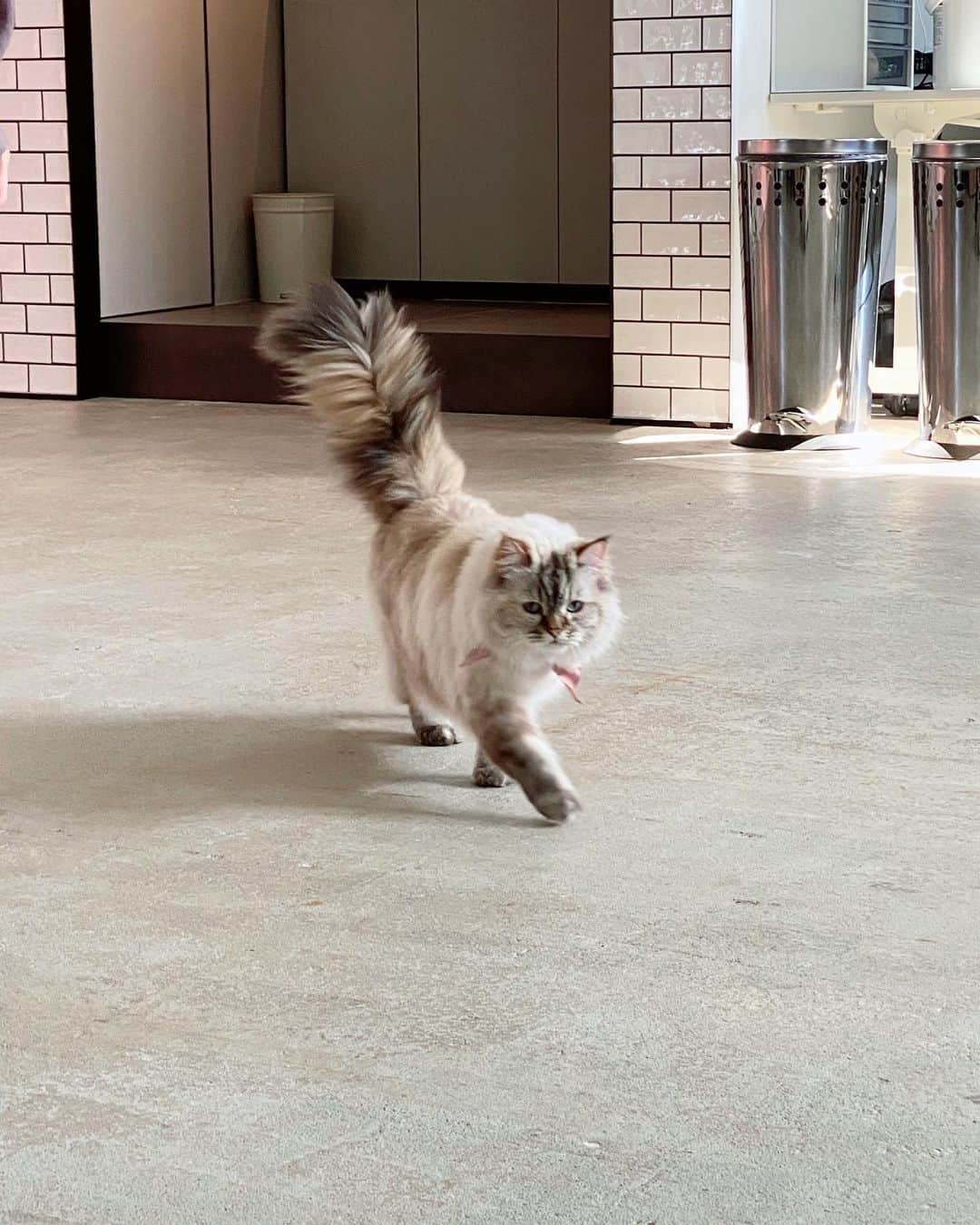 鷲尾伶菜のインスタグラム