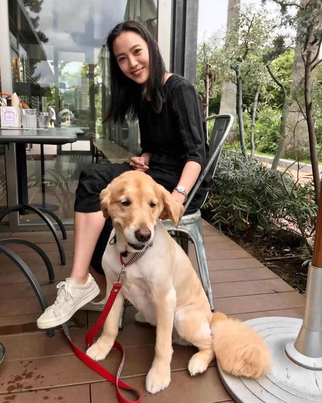 矢野由希子のインスタグラム：「いぬに遊んでもらった日。  #🐕 #いぬ #ゴールデンレトリバー」