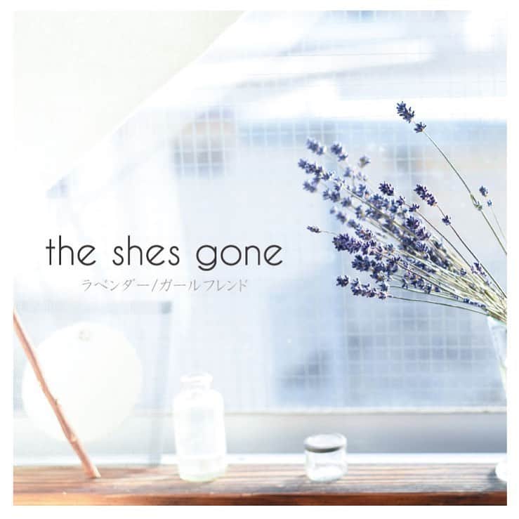 Daishiのインスタグラム：「本日より、Single「ラベンダー / ガールフレンド」がリリースされました🎉  たくさん聴いてくださいさいさい  @the_shes_gone   #theshesgone #シズゴ #ラベンダー #ガールフレンド」