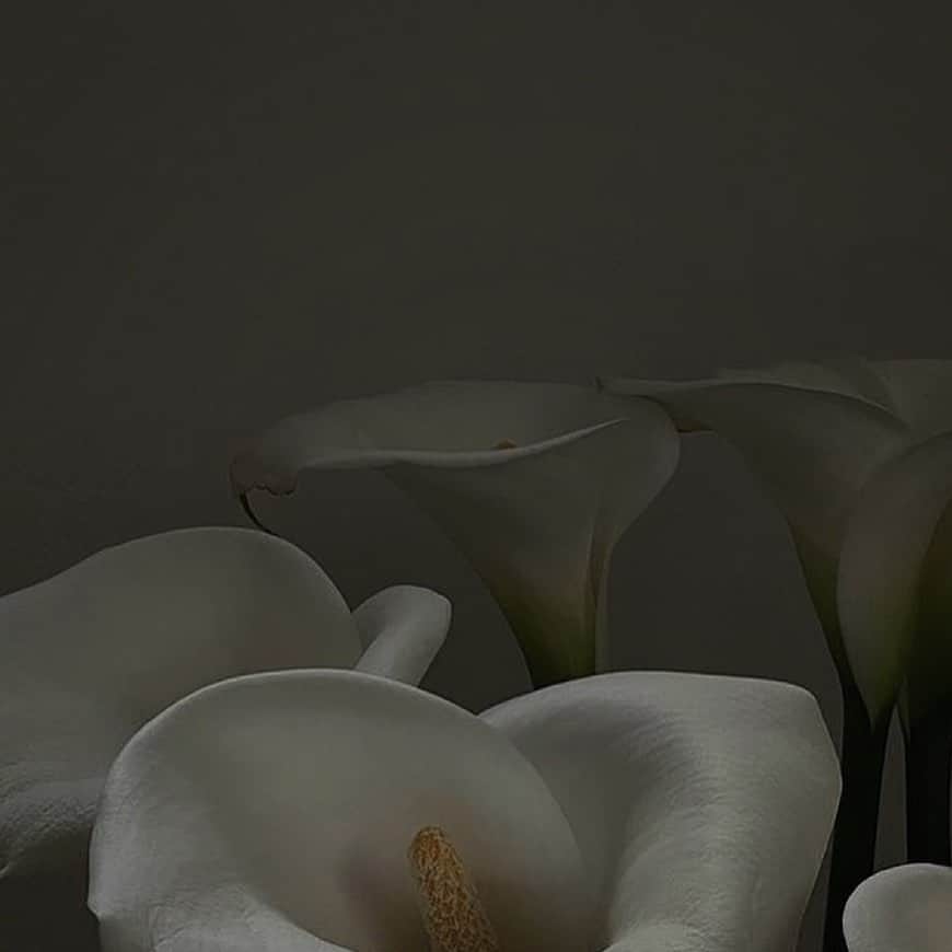 木村穂乃香さんのインスタグラム写真 - (木村穂乃香Instagram)「flower  お花とか緑を見てたら心が落ち着いてリラックスできるから好き♡  #flower」5月26日 18時30分 - 15honoka