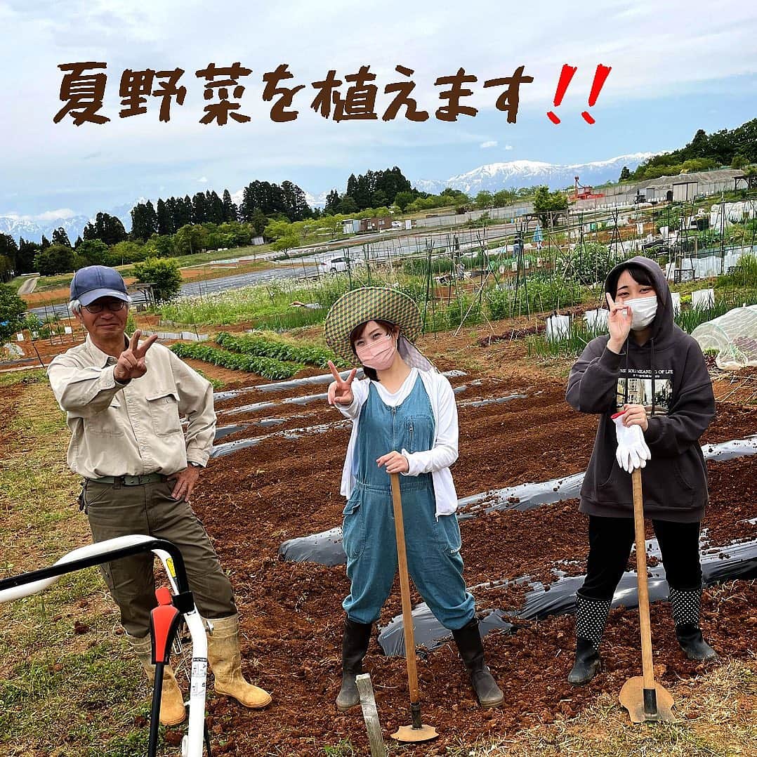南條早紀のインスタグラム：「今年も植えます✨夏野菜🍅  私南條が畑を借りて家庭菜園に挑戦する 【さきベジGarden】✨  今年もこの時期がやってきました！ 夏野菜を植える…‼️  写真は、野菜を植える前の準備 （土づくりとうね立て）をしたときの✨ 教えてくださるおなじみ山崎さんと、 番組の撮影アシスタントさん☺️💓  慣れないクワを使って 一緒に頑張ってくれました😚 （ちなみに、このあと2日間ほどは 筋肉痛でした😨笑）  後ろに見えている畑に、 今年はなにを植えたのか…‼️ ご期待ください😆❤️  29日（土）11:24〜 富山テレビ【フルサタ！】で 放送です🍅🥒🍆🌽💓  #フルサタ #さきベジgarden #富山県 #富山市 #富山 #夏野菜 #家庭菜園 #畑 #畑仕事 #富山テレビ #アナウンサー #南條早紀 #なんじょうのにちじょう」