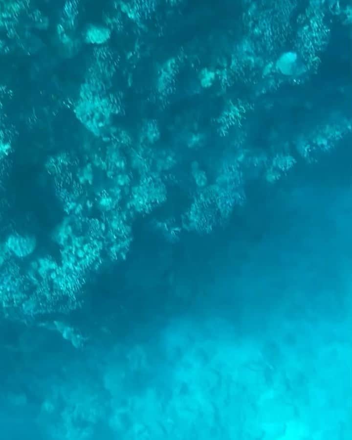カヌチャリゾートのインスタグラム：「. 沖縄の海で遊びたいけど、 濡れたくない、ダイビングはちょっとこわい、、、 という方におすすめのメニューが「グラスボート」です。  船の底がガラス張りになっているので、 船にのりながら海中の様子が楽しめます。  0歳から参加いただけるので、お子様連れのご旅行にもおすすめです。  カヌチャビーチや、マリンアクティビティの様子は @marine_club_berry_kanucha にて配信中です。  ぜひ、マリンアクティビティをご検討の方 チェックしてみてください。 . ---- ◆詳細はストーリーズでチェック！ ◆24時間以降はプロフィールのリンクからどうぞ @kanucha_resort ---- . #カヌチャリゾート #カヌチャ #沖縄旅行 #沖縄 #マリンアクティビティ #沖縄の海 #リゾートステイ #リゾートホテル #オーシャンビュー #沖縄の海 #カヌチャビーチ #グラスボート」