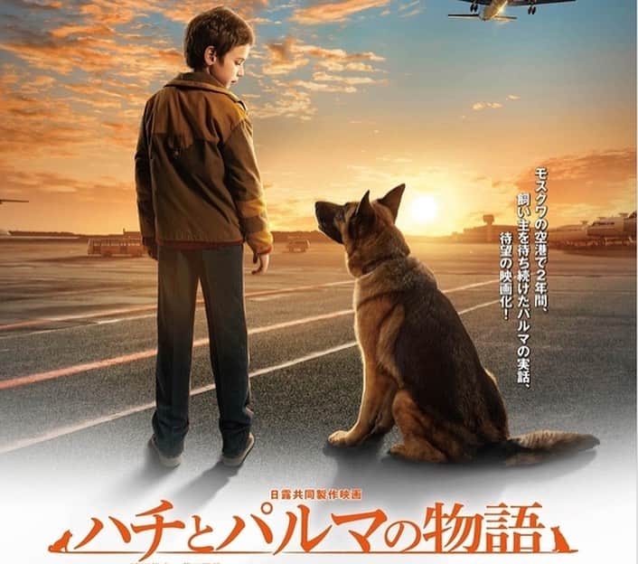 渡辺裕之のインスタグラム：「#ハチとパルマの物語  #5月28日全国ロードショー公開」