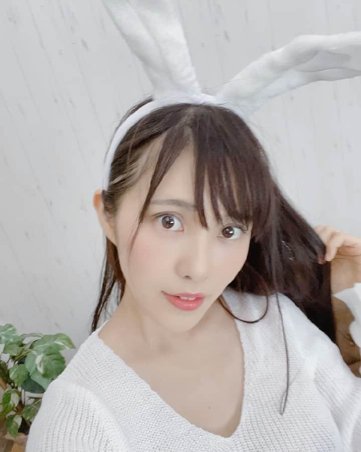 田中みかのインスタグラム：「うさぴょん🐰  ﻿ ﻿ ﻿ ﻿ ﻿ ﻿ ﻿ ﻿ ﻿ ﻿ ﻿ ﻿ ﻿ ﻿ ﻿ ﻿ ﻿ ﻿ ﻿ ﻿ ﻿ ﻿ ﻿ ﻿ ﻿ ﻿ ﻿ ﻿ ﻿ ﻿ ﻿ ﻿ ﻿ ﻿ ﻿ ﻿ ﻿ ﻿ ﻿ ﻿ ﻿ ﻿ ﻿ ﻿ ﻿ ﻿ ﻿ ﻿ ﻿ ﻿ ﻿ ﻿ ﻿ ﻿ ﻿ ﻿ #rabbit #rabbit #うさぎ#rabbitcostume #rabbitcosplay #うさぎ好き #animalcostume #animalcosplay #PATREON#patreonmodel #patreongirl #hadakanoangel #撮影会#モデル撮影 #モデル募集 #カメラマンさんと繋がりたい #カメラマンさん募集 #カメラマン募集 #撮影モデル #モデル募集中 #撮影依頼募集中 #撮影#フリーモデル#被写体#被写体希望 #被写体募集 ﻿ ﻿ ﻿ ﻿ ﻿ ﻿ ﻿ ﻿ ﻿ ﻿ ﻿ ﻿ ﻿ ﻿ ﻿ ﻿ ﻿ ﻿ ﻿ ﻿ ﻿ ﻿ ﻿ ﻿ ﻿ ﻿ ﻿ ﻿ ﻿ ﻿ ﻿ ﻿ ﻿ ﻿ ﻿ ﻿ ﻿ ﻿ ﻿ ﻿ ﻿ ﻿ ﻿ ﻿ ﻿ ﻿ ﻿ ﻿ ﻿ ﻿ ﻿ ﻿ ﻿ ﻿ ﻿ ﻿ ﻿ ﻿ ﻿ ﻿ ﻿ ﻿ ﻿ ﻿ ﻿ ﻿ ﻿ ﻿ ﻿ ﻿ ﻿ ﻿ ﻿ ﻿ ﻿ ﻿ ﻿ ﻿ ﻿ ﻿ ﻿ ﻿ ﻿ ﻿ ﻿ ﻿ ﻿ ﻿ ﻿ ﻿ ﻿ ﻿ ﻿ ﻿ ﻿ ﻿ ﻿ ﻿ ﻿ ﻿ ﻿ ﻿ ﻿ ﻿ ﻿ ﻿ ﻿ ﻿ ﻿ ﻿ ﻿ ﻿ ﻿ ﻿ ﻿ ﻿ ﻿ ﻿ ﻿ ﻿ ﻿ ﻿ ﻿ ﻿ ﻿ ﻿ ﻿ ﻿ ﻿ ﻿ ﻿ ﻿ ﻿ ﻿ ﻿ ﻿ ﻿ ﻿ ﻿ ﻿ ﻿ ﻿ ﻿ ﻿ ﻿ ﻿ ﻿ ﻿ ﻿ ﻿ ﻿ ﻿ ﻿ ﻿ ﻿ ﻿ ﻿ ﻿ ﻿ ﻿ ﻿ ﻿」