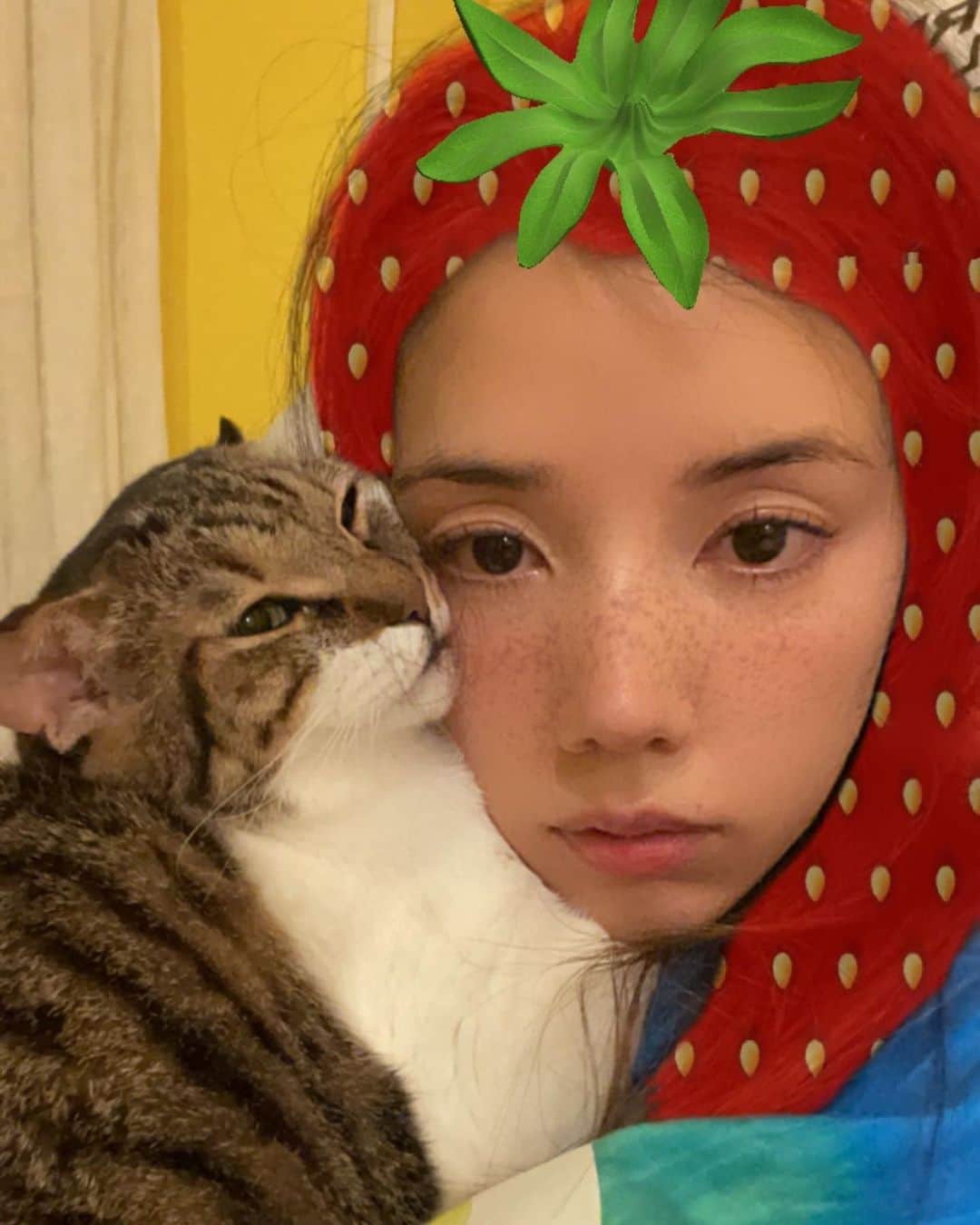 仲里依紗のインスタグラム：「一生眠い🍓🐈」