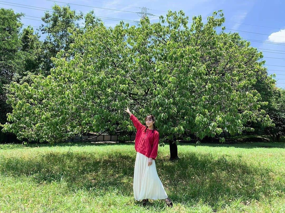 石川恋のインスタグラム