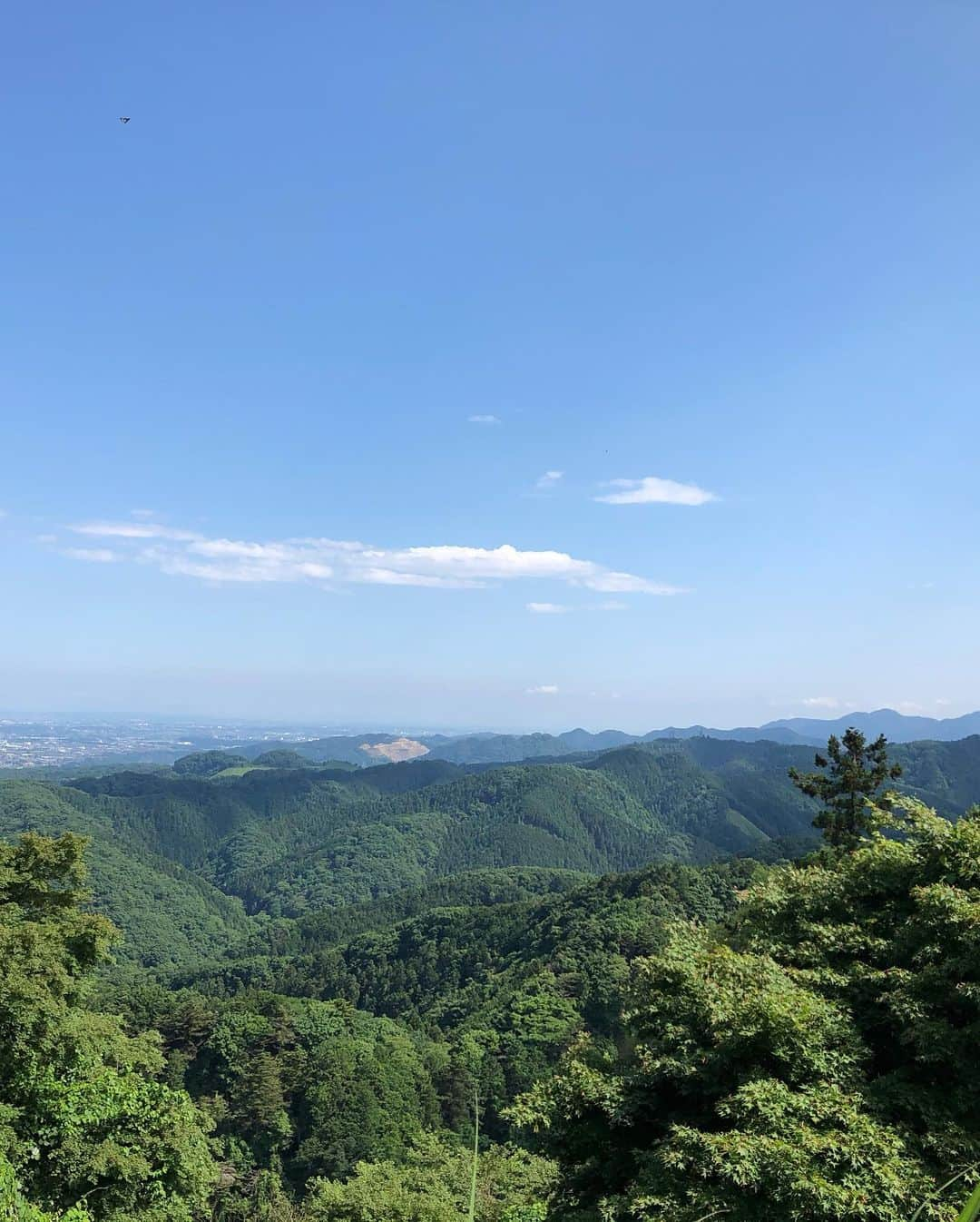 鳳真由さんのインスタグラム写真 - (鳳真由Instagram)「そういえば先日 家族でひっそり山登りしてきました。  休日だったのでピークを避け午後出発！ いつもはカップラーメンやおにぎり、炒めたウインナー等を持参して山頂で頂くのですが  今回は山頂のお茶屋さんに入りお蕎麦とミニカレー、 食後は持参したドリップコーヒーとおやつを頂き  お腹いっぱいのまま ケーブルカーで下山するという コンパクトコース！  再びのステイホームで皆さん心身共にお元気でいらっしゃいますか？  さぁ出かけようぜ！！ と大声で呼びかけることは出来ませんが 　 こうしてたまに 大自然で深呼吸することは人間にとって不可欠であると  心から実感しました！  #目指せ1日1投稿2021 #登山 #高尾山 久々に登ったらしんどすぎて息切れ止まらん」5月27日 20時04分 - ootorispecialpanic