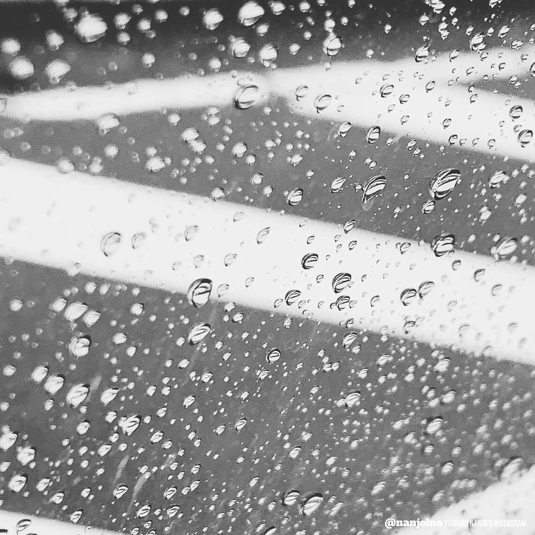 南條愛乃のインスタグラム：「雨だねえ」