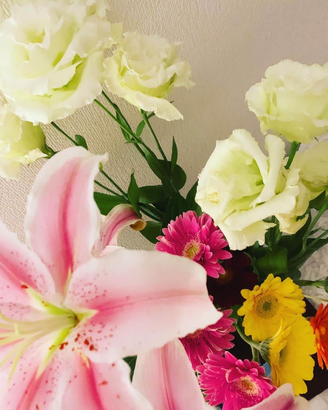 あびる優さんのインスタグラム写真 - (あびる優Instagram)「先週の生花😋💐 カラフルなガーベラは後から仲間入り❣️✨  #flowers#💐#花#お花##トルコキキョウ#ガーベラ#百合#🌼」5月27日 14時49分 - yuabiru74