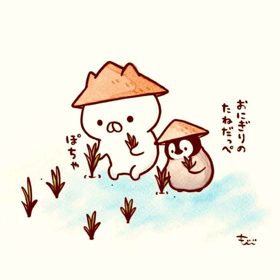 もじじさんのインスタグラム写真 - (もじじInstagram)「たうえ  #田植え#ねこぺん日和#ねこぺん#ねこくん#ぺんちゃん#おにぎり」5月27日 17時45分 - mojiji2014