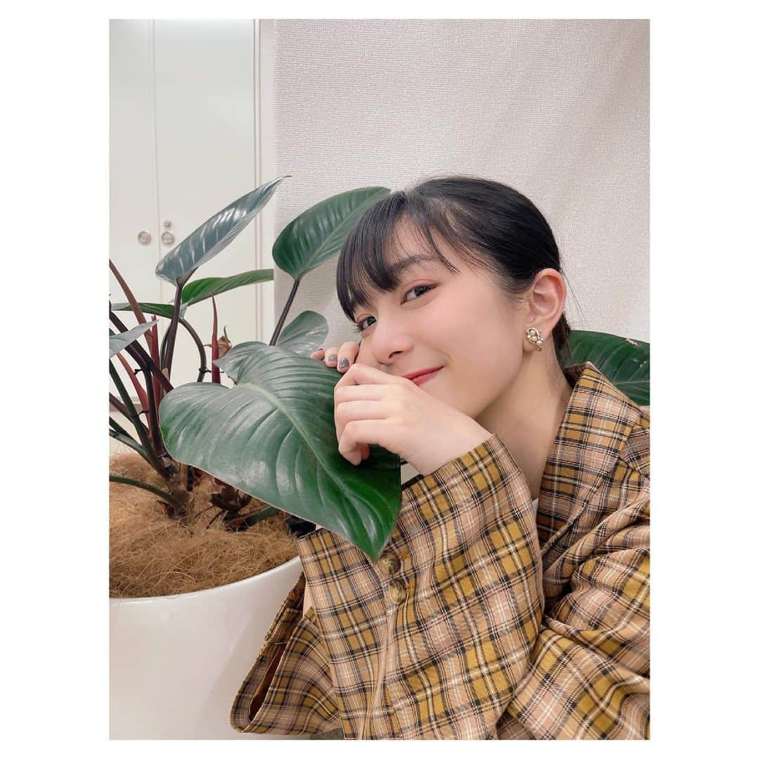 井上玲音さんのインスタグラム写真 - (井上玲音Instagram)「･  🍃  ネイルと同じ色の観葉植物発見した  そんなことより！！！ つばきファクトリー日本武道館公演決定！  おめでとう🌷𓈒𓂂𓏸  #つばきファクトリー #日本武道館 #おめでとう #秋山眞緒 ちゃん #Instagram #開設  @mao__akiyama.official  #juicejuice #井上玲音」5月27日 20時40分 - rei_inoue.official