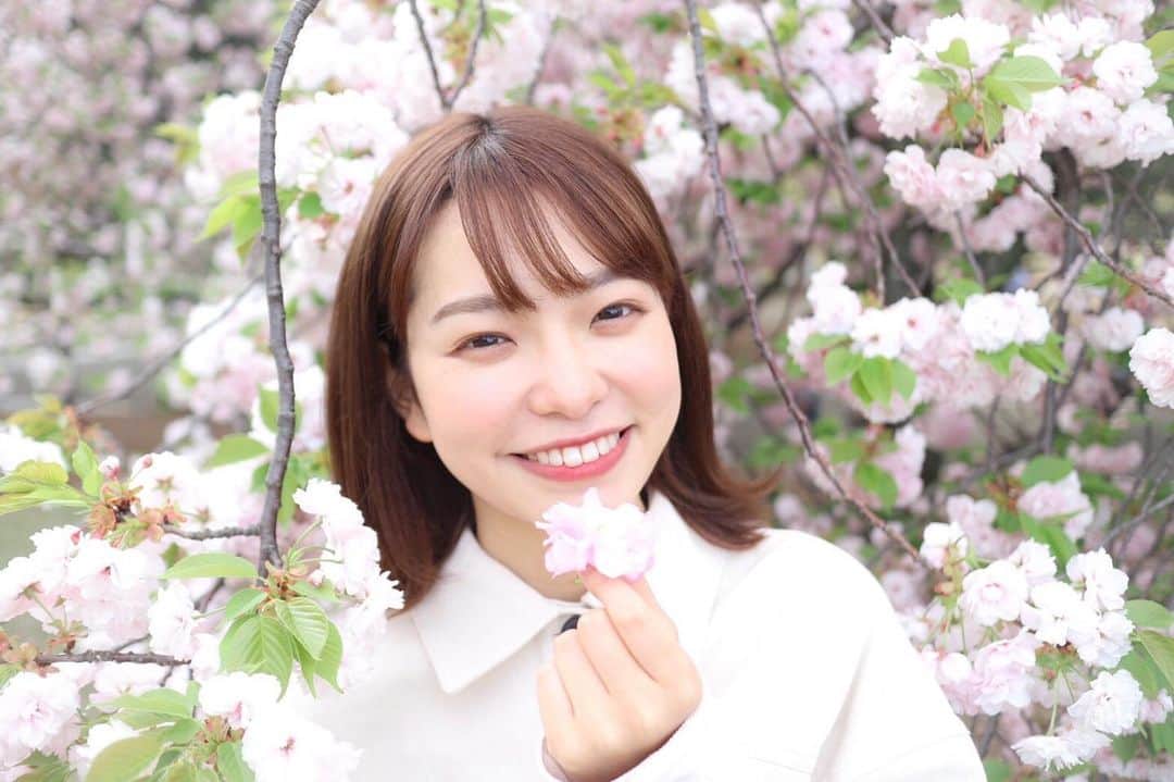 濱村春香のインスタグラム：「.﻿ 今日はお天気が悪かったし﻿ 久しぶりに寒かったですね！﻿ みなさん体調にはお気をつけください🙌🏻﻿ ﻿ 最近お出かけをしていなくて﻿ 写真不足に陥っております🥲﻿ なので少し前の季節ですが桜の写真で🌸﻿ ファンクラブの方では違うパターンも載せています☺︎﻿  https://www.fansnet.jp/haruka_hamamura  #ホリプロ #horipro #フリーアナウンサー #キャスター #リポーター」