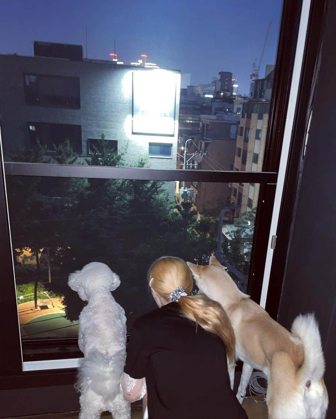 ヒョナ さんのインスタグラム写真 - (ヒョナ Instagram)「🐶🦊🤍」5月27日 21時24分 - hyunah_aa