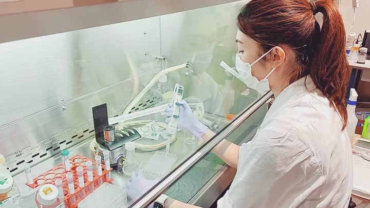 櫻井麻美のインスタグラム：「実験中は、話しかけられてもうわの空になりがちです😲集中しないと作業を1列間違えちゃったりするんです💦 ・ ひとつのことしかできない… ・ 昔から、何かに集中すると他のことが何も目に入らなくなってしまう性質がありましたが、今はなんとなく意味のない返事ができるまでになりました。 ・ みなさんはマルチタスク得意ですか？？ ・ ・ #集中力強め  #倍々希釈 #マルチタスク」