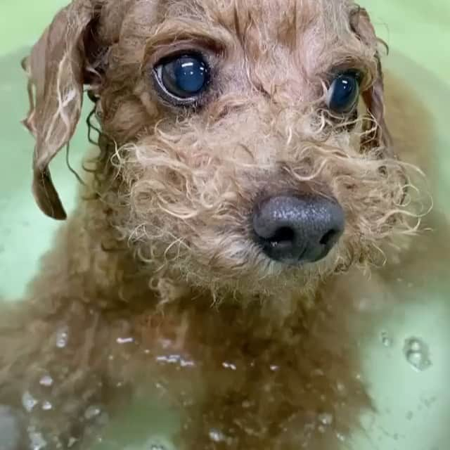 日々野真理のインスタグラム