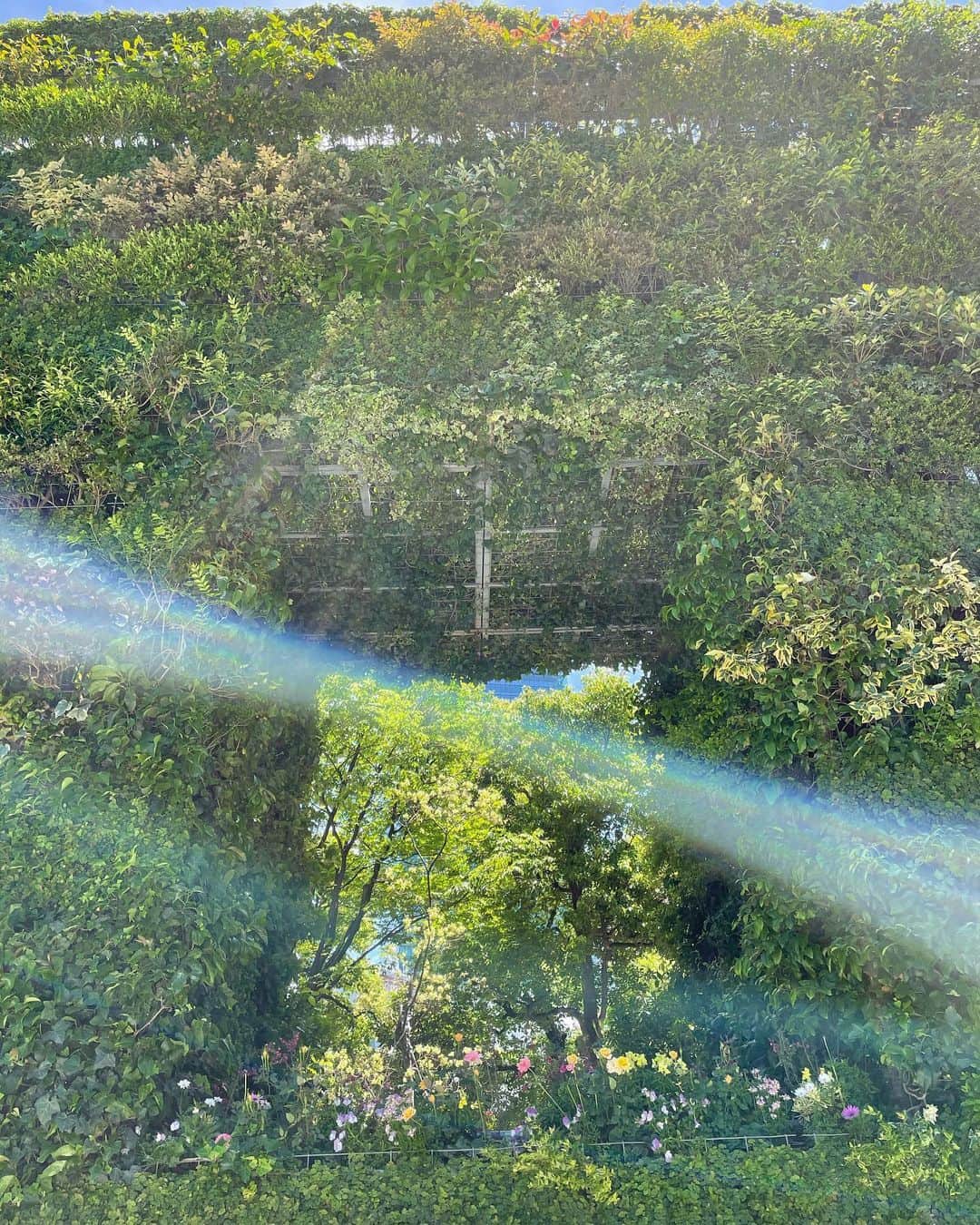 泉見祐希のインスタグラム：「Vitamin🌿💛🌈」