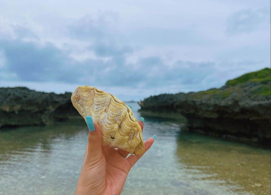 中村香夏のインスタグラム：「. 🐚←こっちみつけたかった🙂」