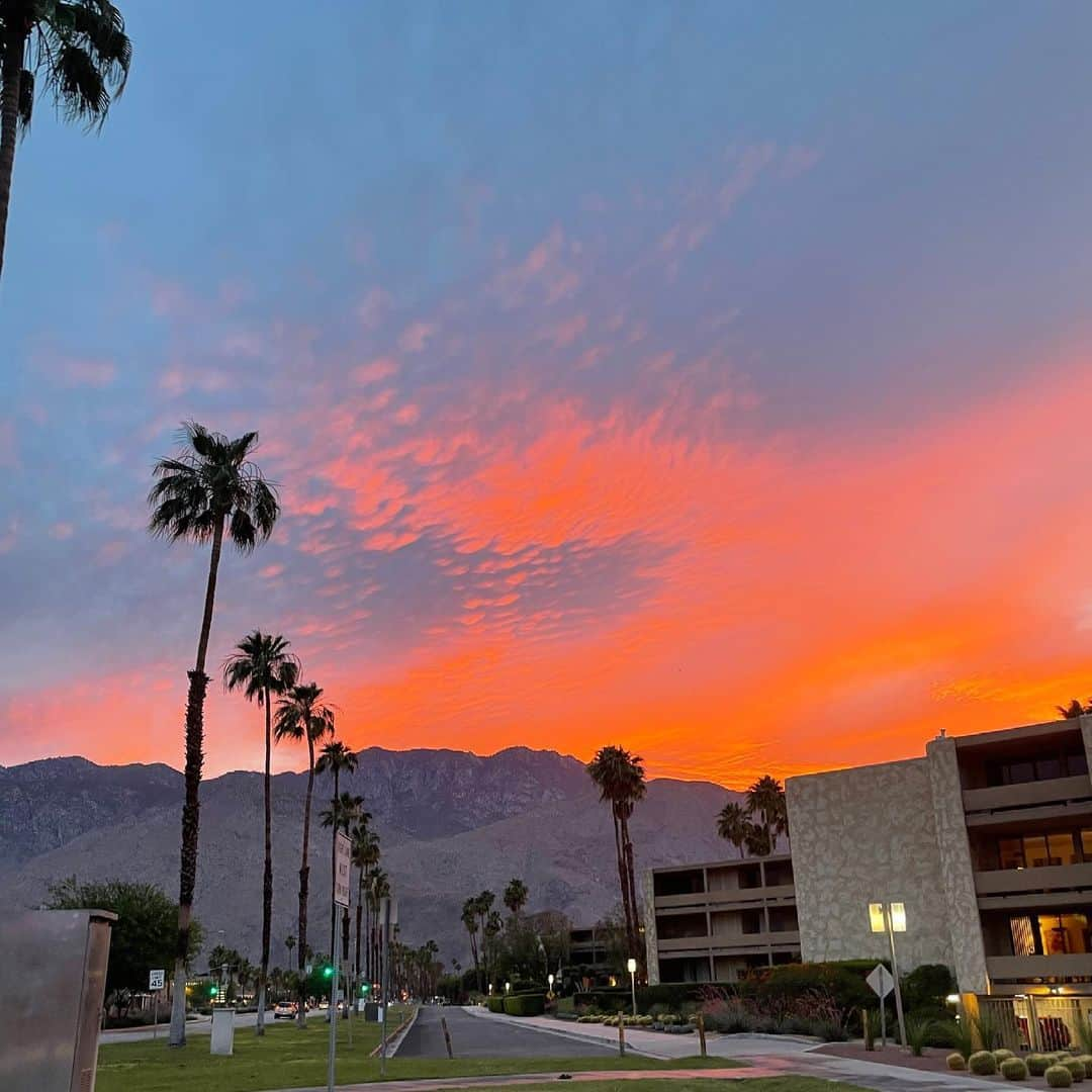 Nia Sioux Frazierさんのインスタグラム写真 - (Nia Sioux FrazierInstagram)「until next time palm springs」5月28日 8時25分 - niasioux