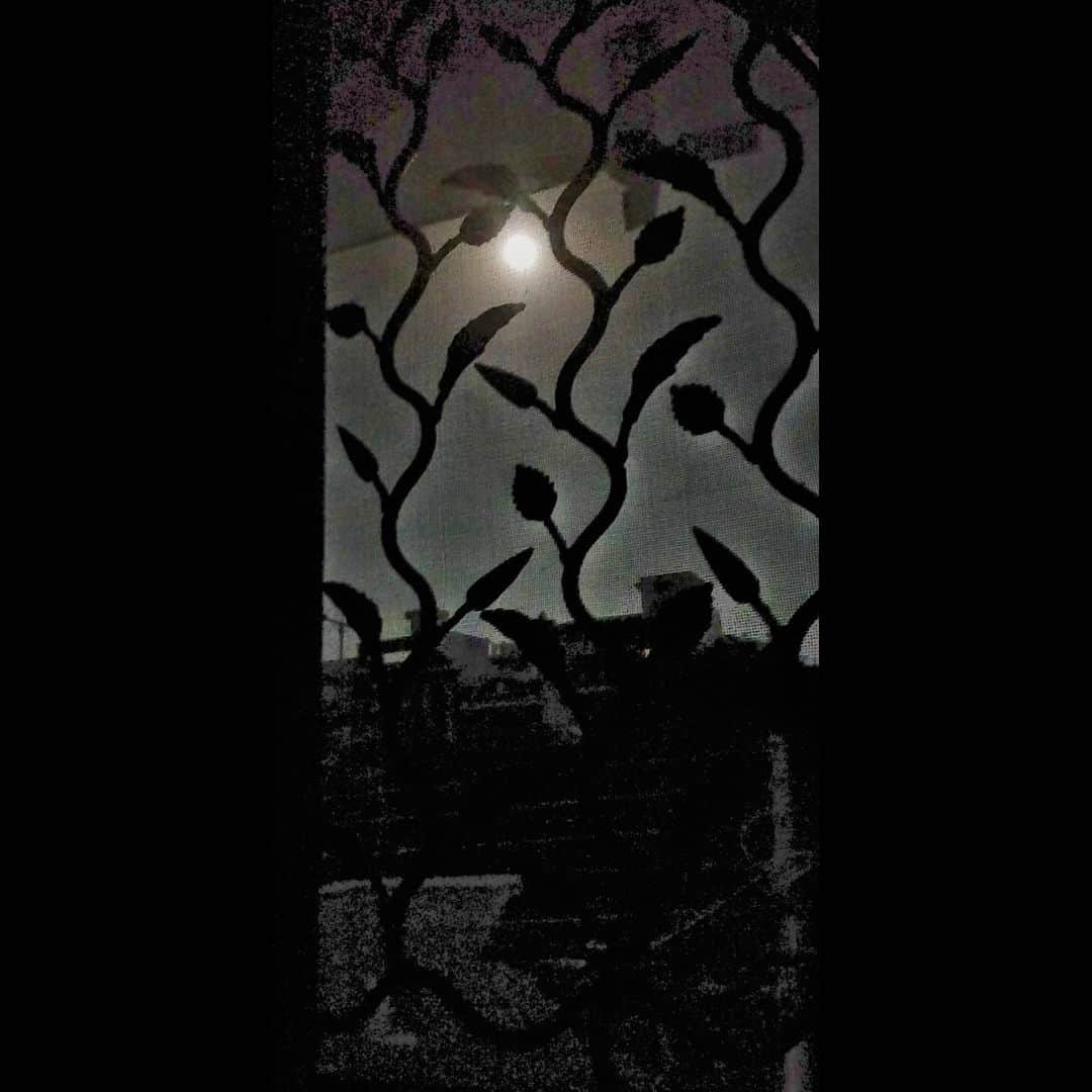 五味岳久のインスタグラム：「Maybe moon look so beautiful only because it is far away from us.  Nights when you stare moon, shiny stars you feel lost maybe in memory of person you recently lost, or probably remembering all those beautiful moments you had with them. Or possibly you just stare and admire beauty of MOON.   #instagram #nightphotography #sky #beautiful #admiring #moon #instagood #insta #instapic #love #likeforlikes #followｍe #photography」