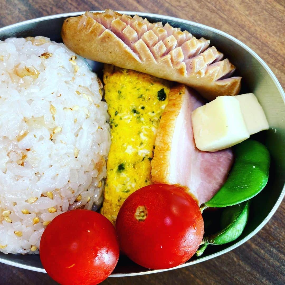 のインスタグラム：「梅カツオのオニギリ。枝豆もデビュー。  #息子の弁当です」