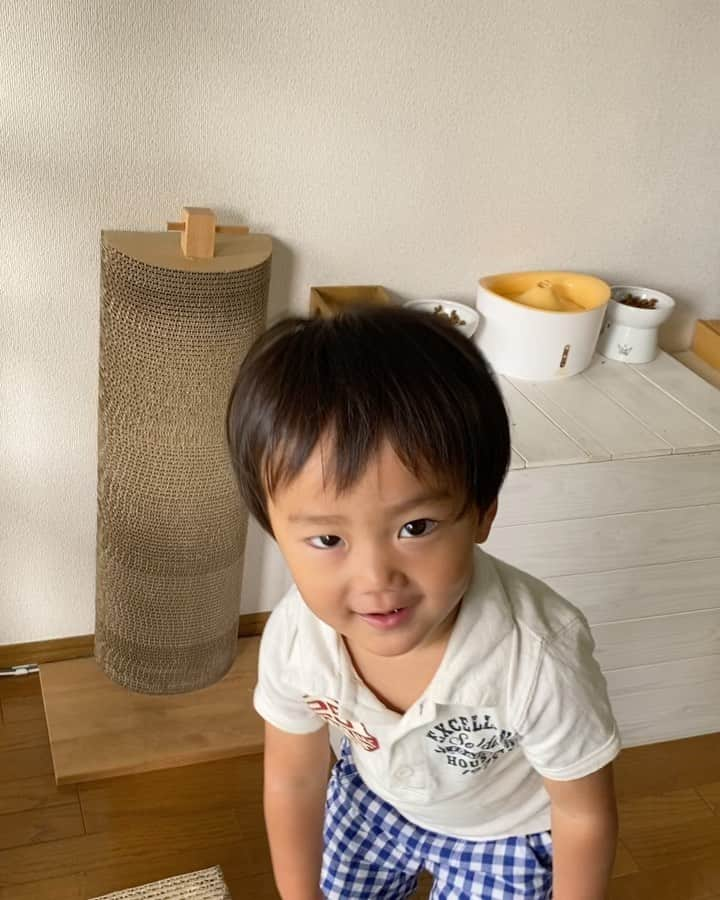 輝良まさとのインスタグラム：「・ 言葉の記録として❣️  2歳を目前として、意味がわかる喋れる言葉としては 【パパ・ママ・でんちゃ（電車）・わんわ（犬）・にゃにゃ（猫）・ちゃちゃ・ばぁば・じじ（じぃじ）】 ぐらいなもん😅  でも最近全然何言ってるかわからないけど動画のように一生懸命お喋りしてて、そんな姿が可愛くて愛おしい❤️ 喋り出す前のつたない感じって可愛いですね〜❤️ 先輩ママさんたちが言っていた意味が最近よくわかります🤗  どんどん喋り出してほしい気持ちと、この可愛い感じのままでいて〜という気持ちと複雑な心境です😂笑  #言葉#意味不明#つたない#たまらん#レインボーベビー#レインボーベビー真那人#令和元年ベビー#6月生まれ#1歳#1歳11ヶ月#幼児#やんちゃ#活発#元気いっぱい#可愛い#愛おしい」